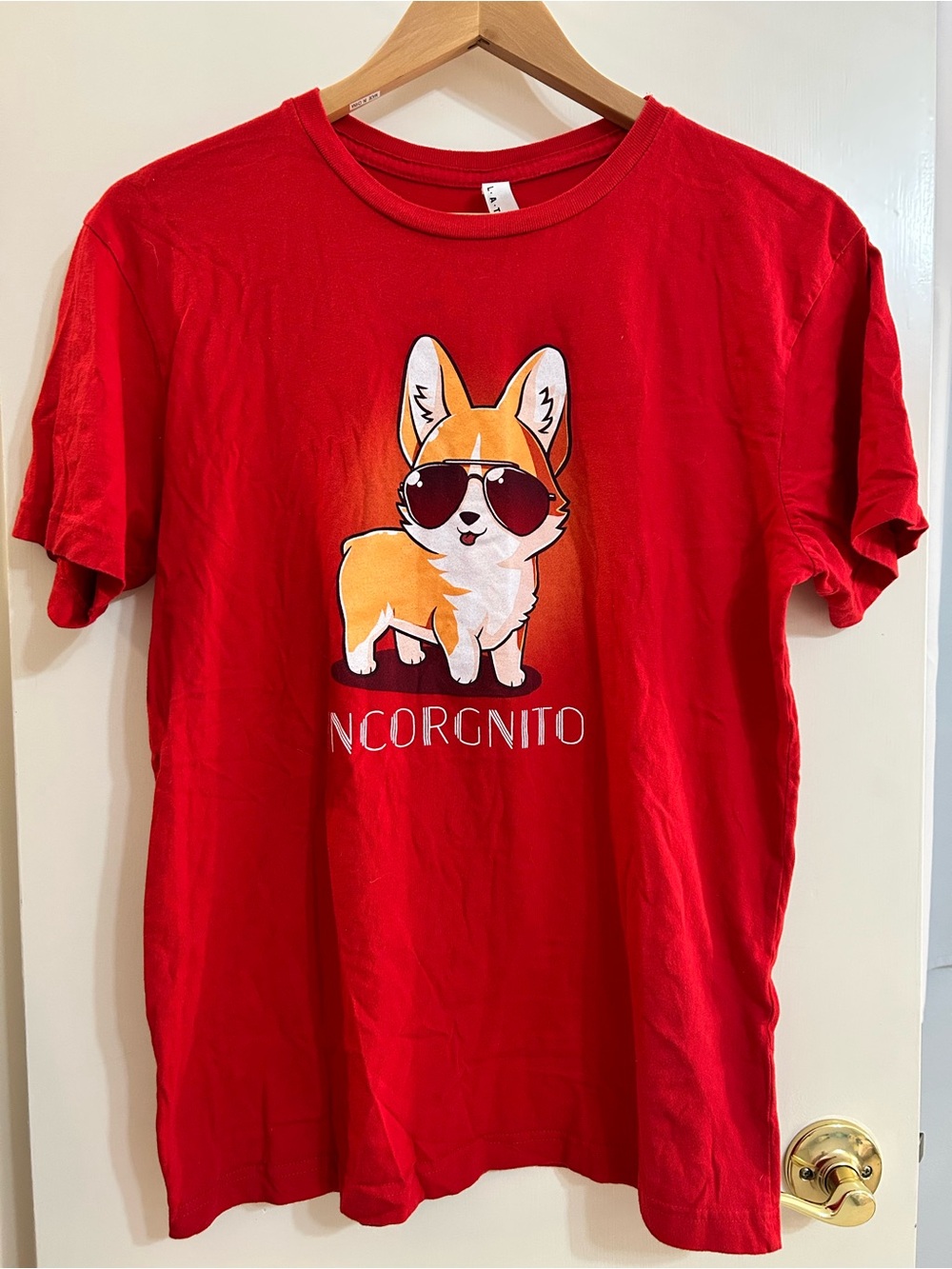 Incorgnito Corgi Men’s Tee 🔥